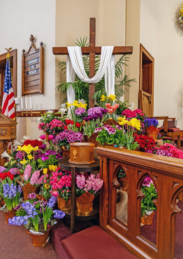 Easter Cross in Sanctuary (2) Easter Cross in Sanctuary (2)